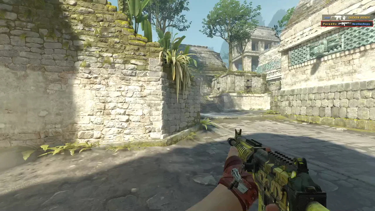 highlight